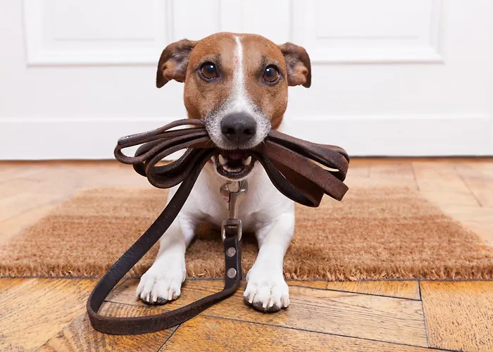 Apartment Arosa By Schladming-appartements Schladming